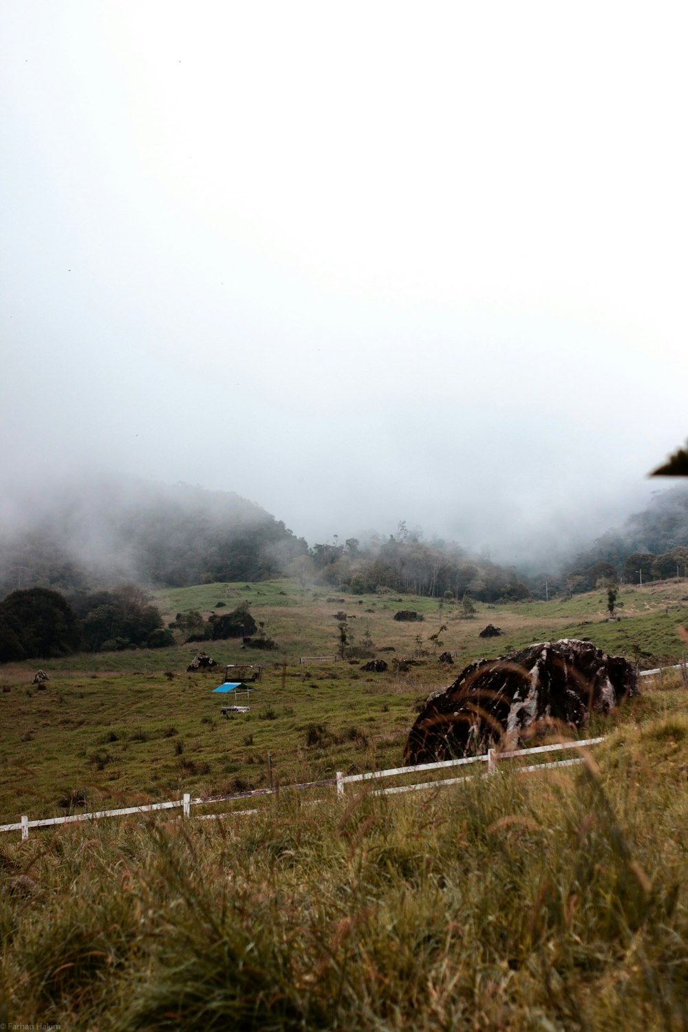 a herd of animals grazing on a lush green hillside