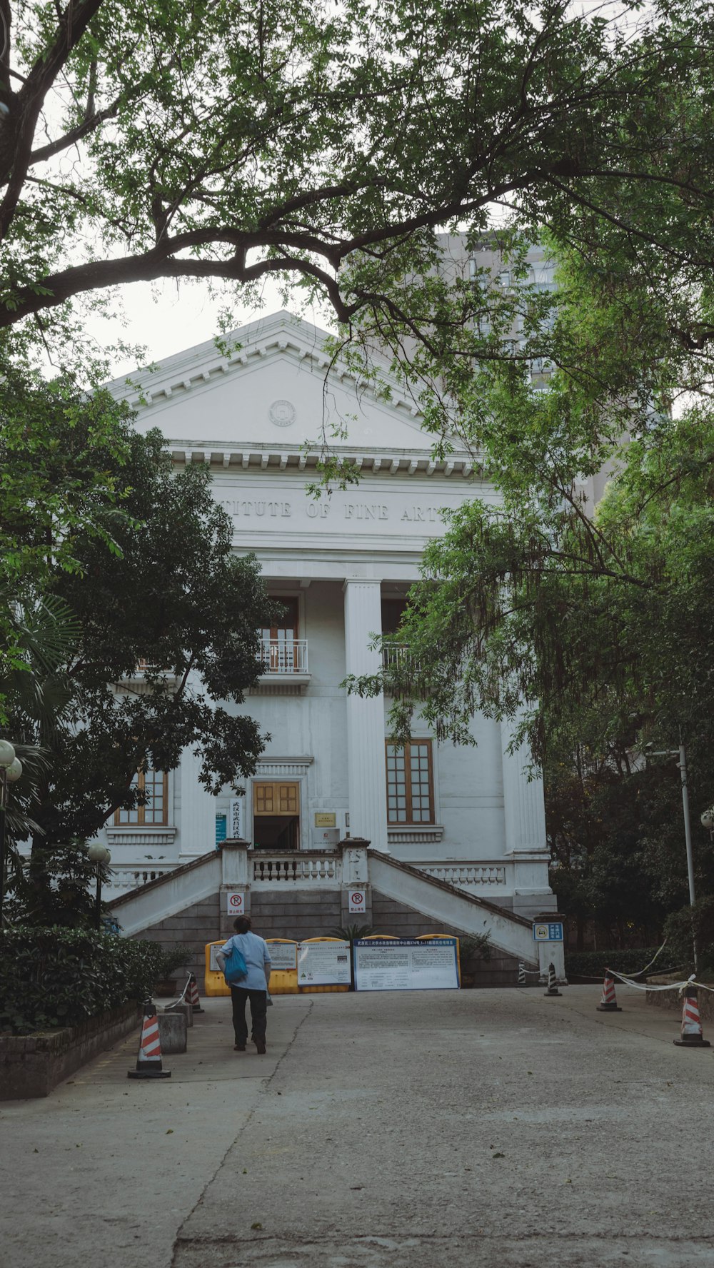 a large white building with a large tree in front of it