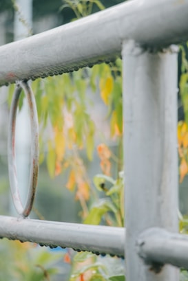 A close-up view of a grey metal railing with a circular design, set against a blurred background of green and yellow foliage. The metal has a slightly aged appearance with some rust visible.