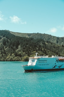 a large white and black boat in a body of water