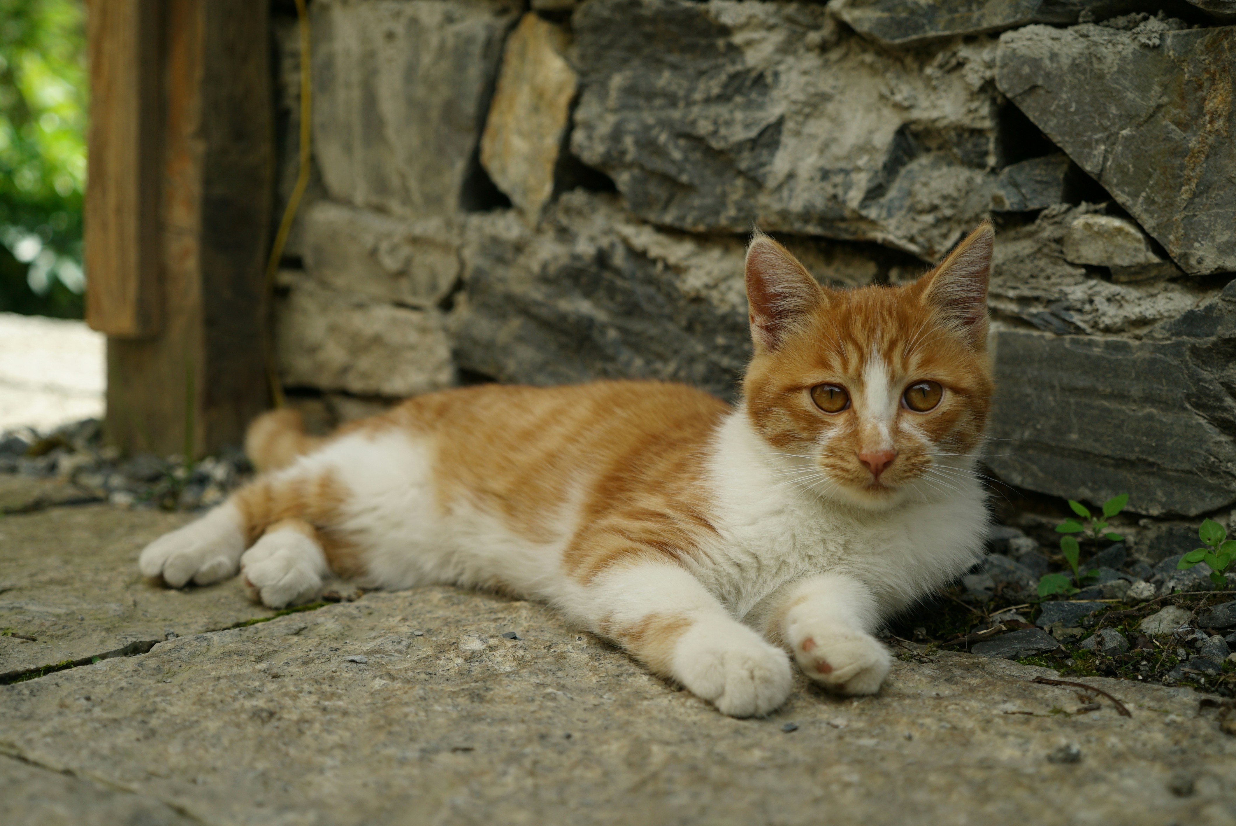 Photo by alexadenial