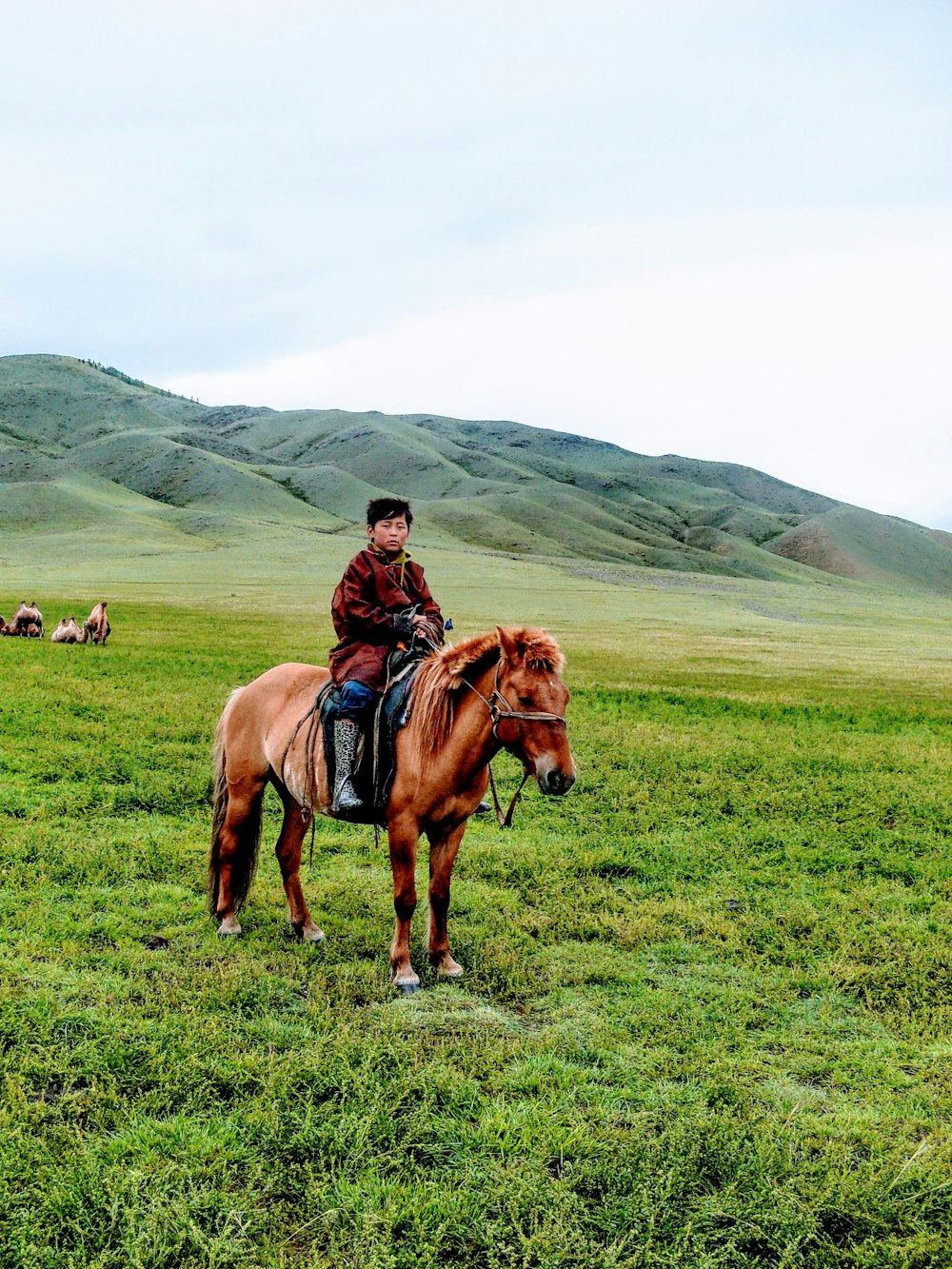 a man riding on the back of a brown horse