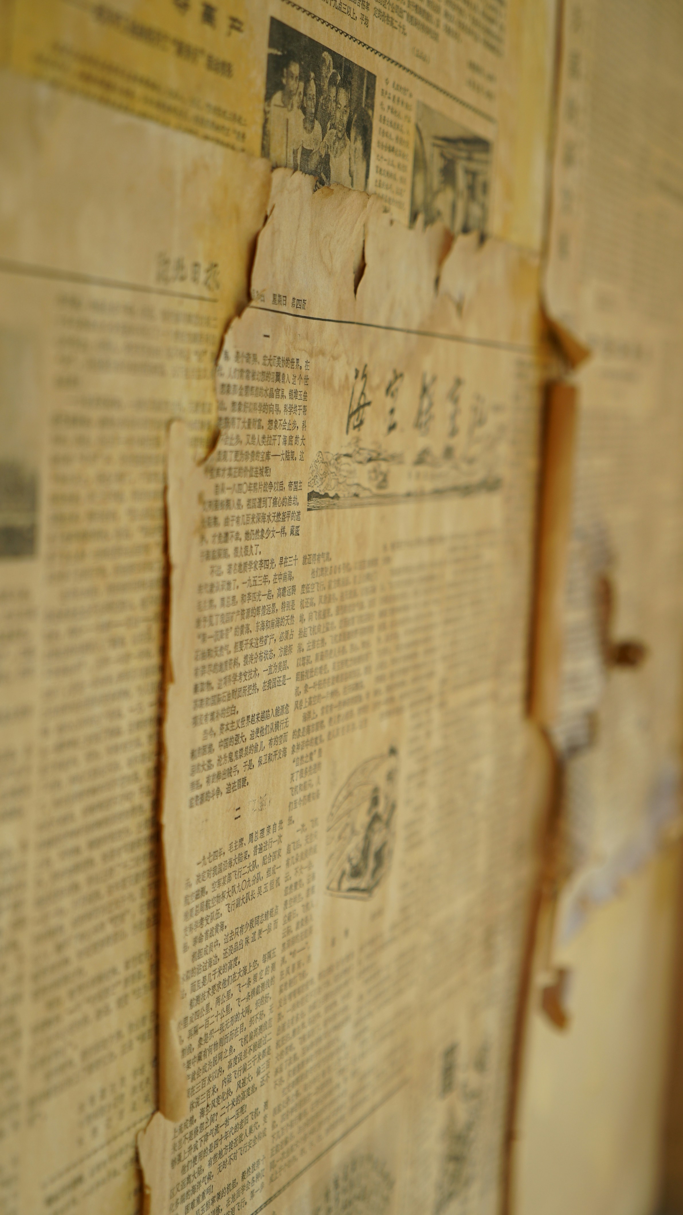 Photo by alexadenial