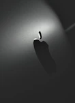 Artistic shot of neon white glowing logo embossed on a deep matte black fabric.
