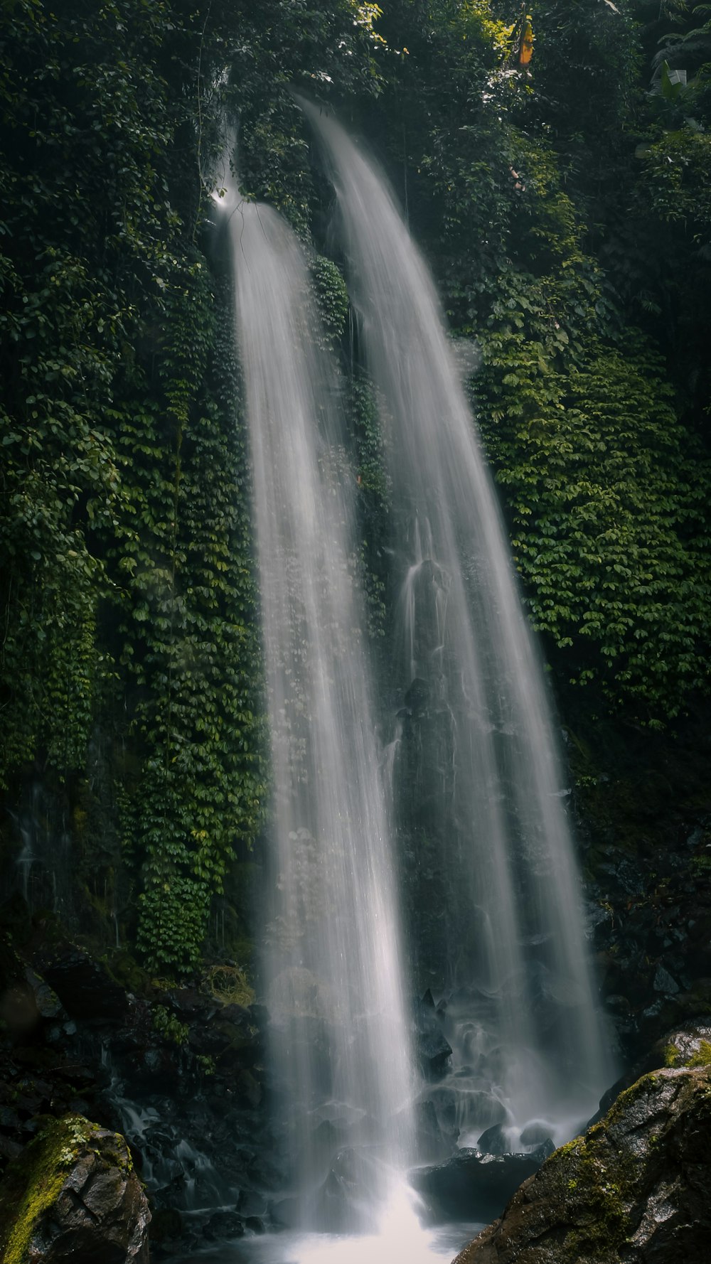 a very tall waterfall in the middle of a forest