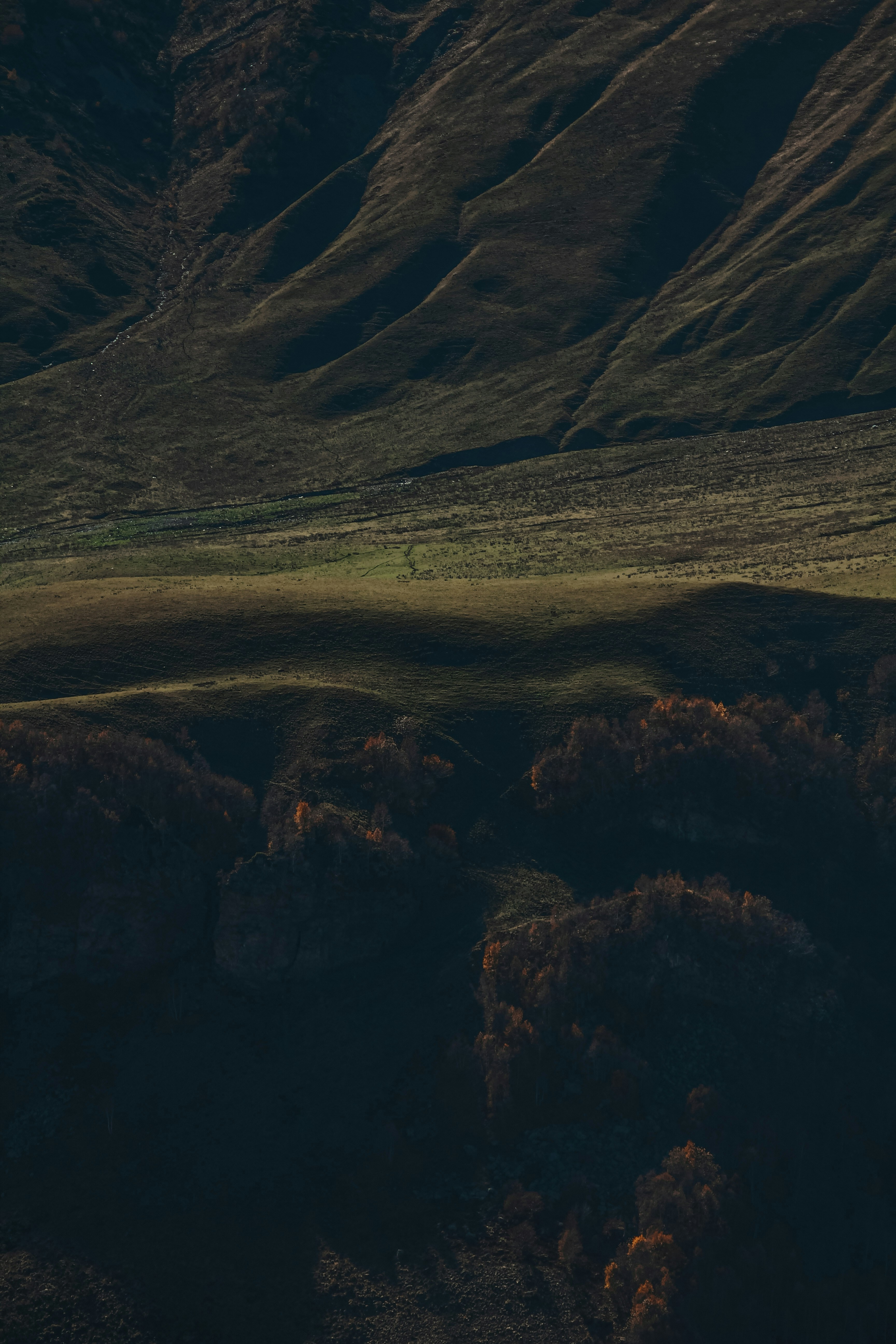 Photo by polinamalilo