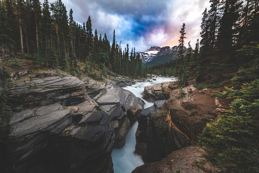 A river flowing through a lush green forest canyon