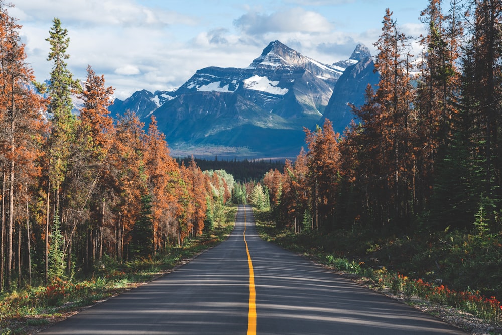 a road with a mountain in the background