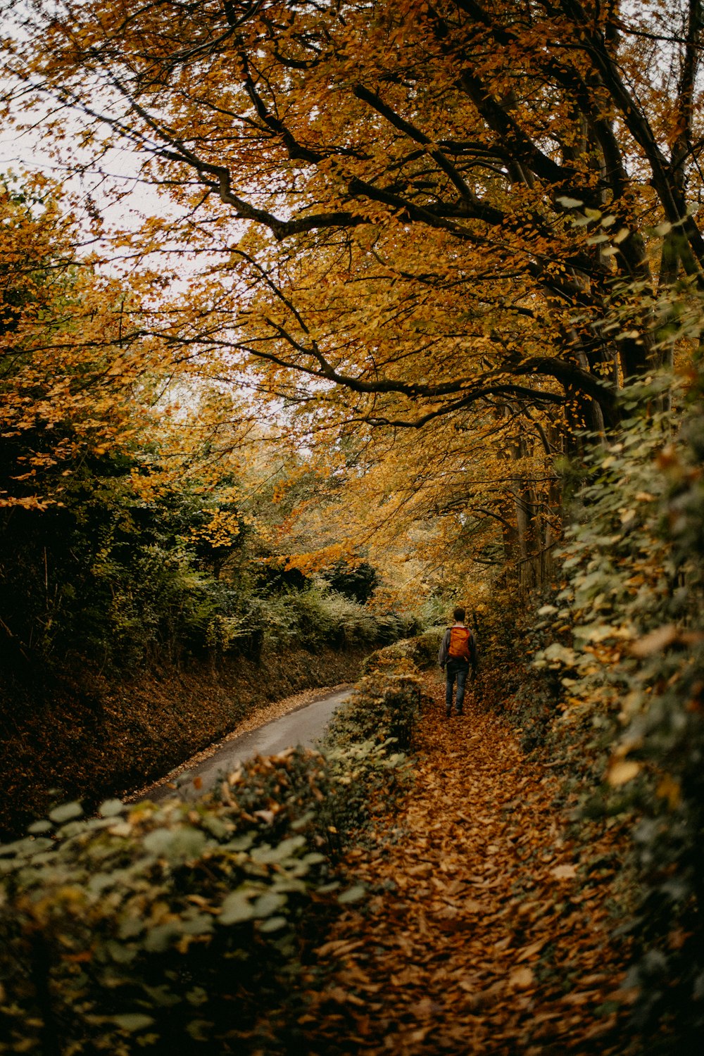 a person walking down a leaf covered path