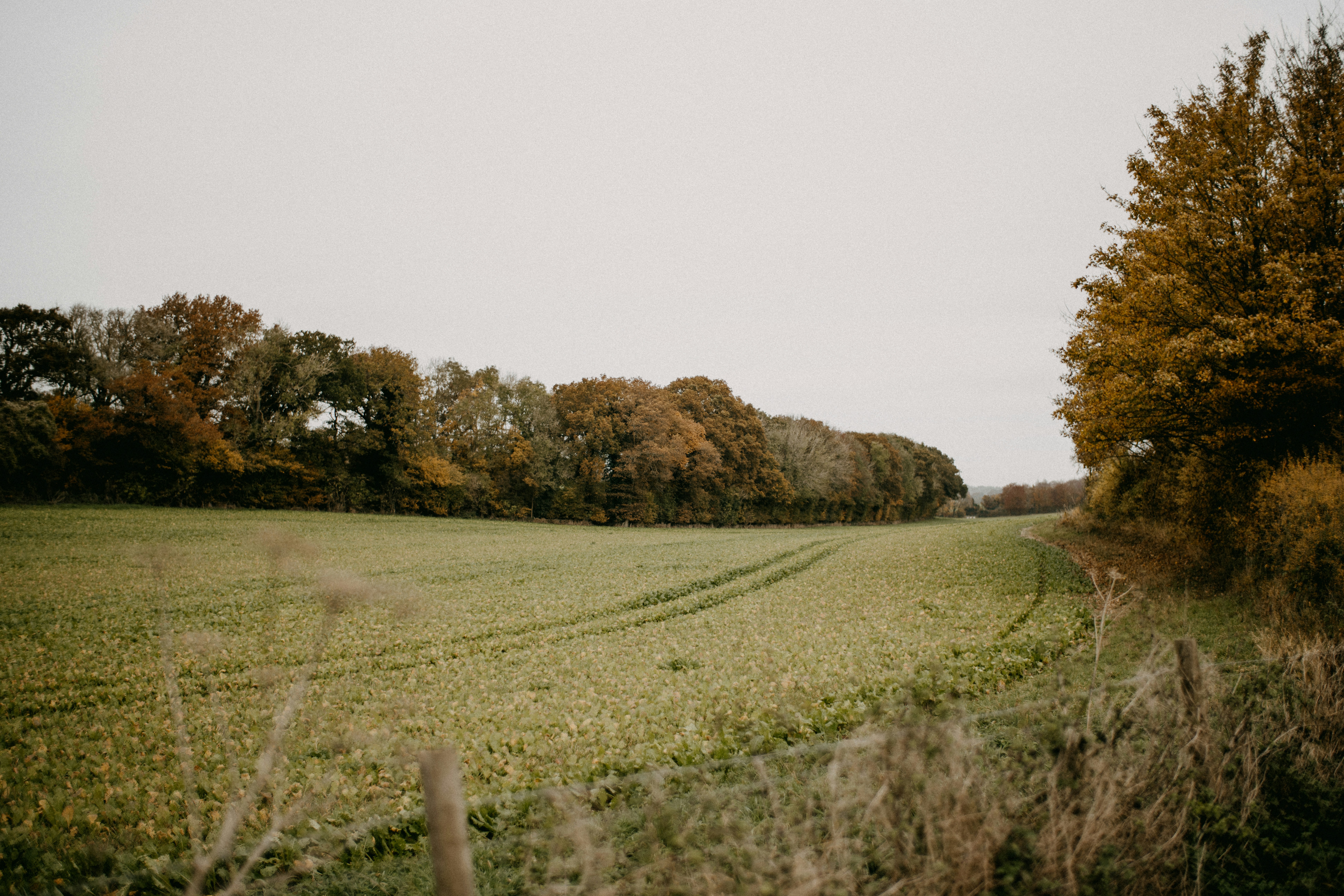 Photo by anniespratt