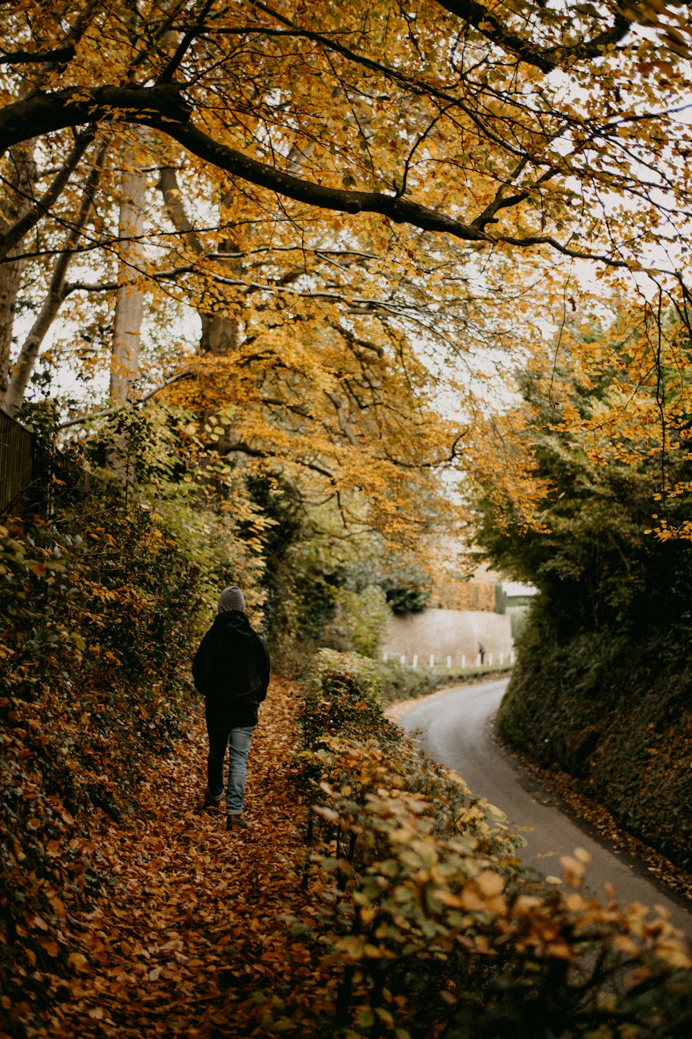 a person walking down a leaf covered road