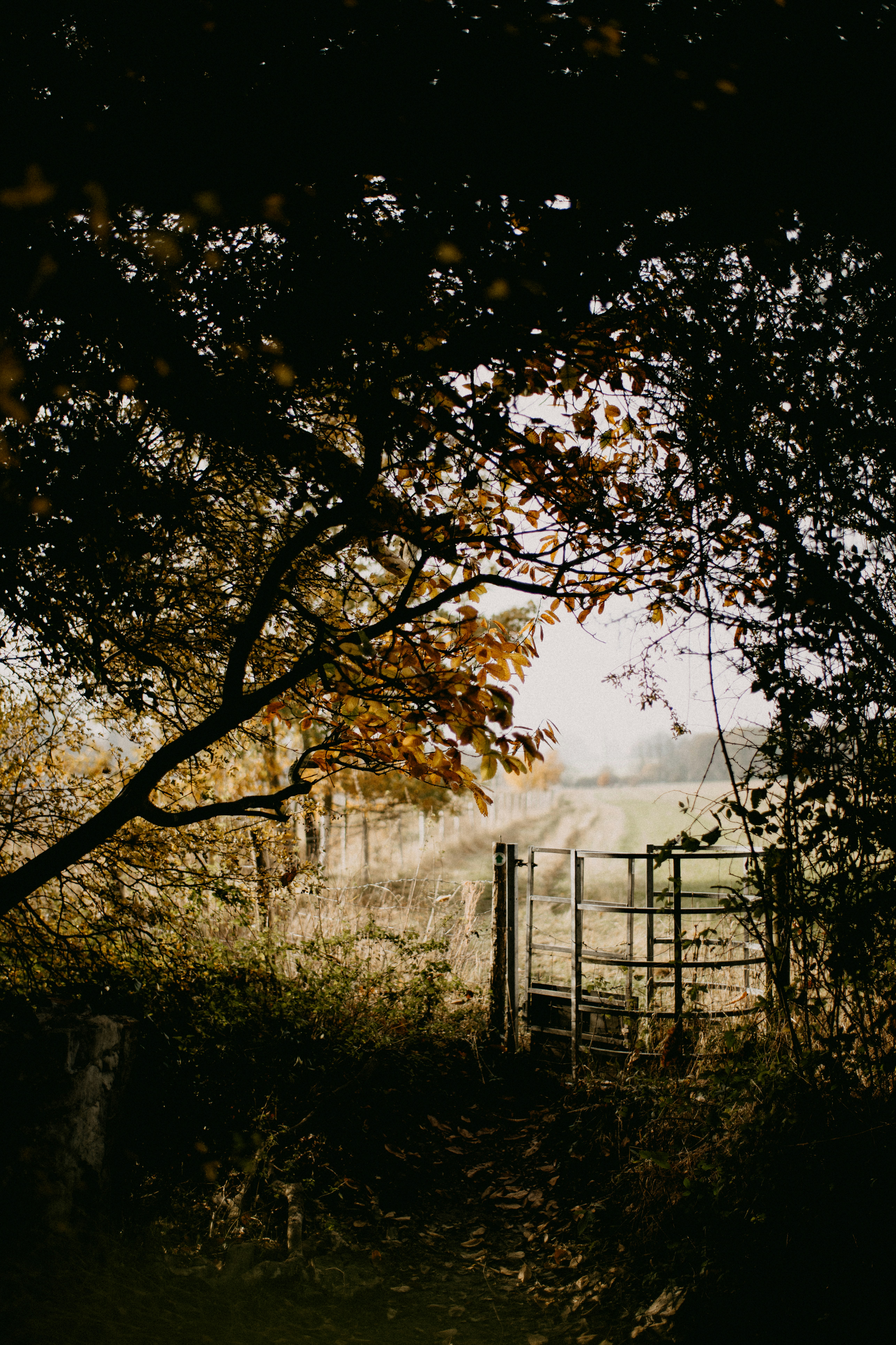 Photo by anniespratt