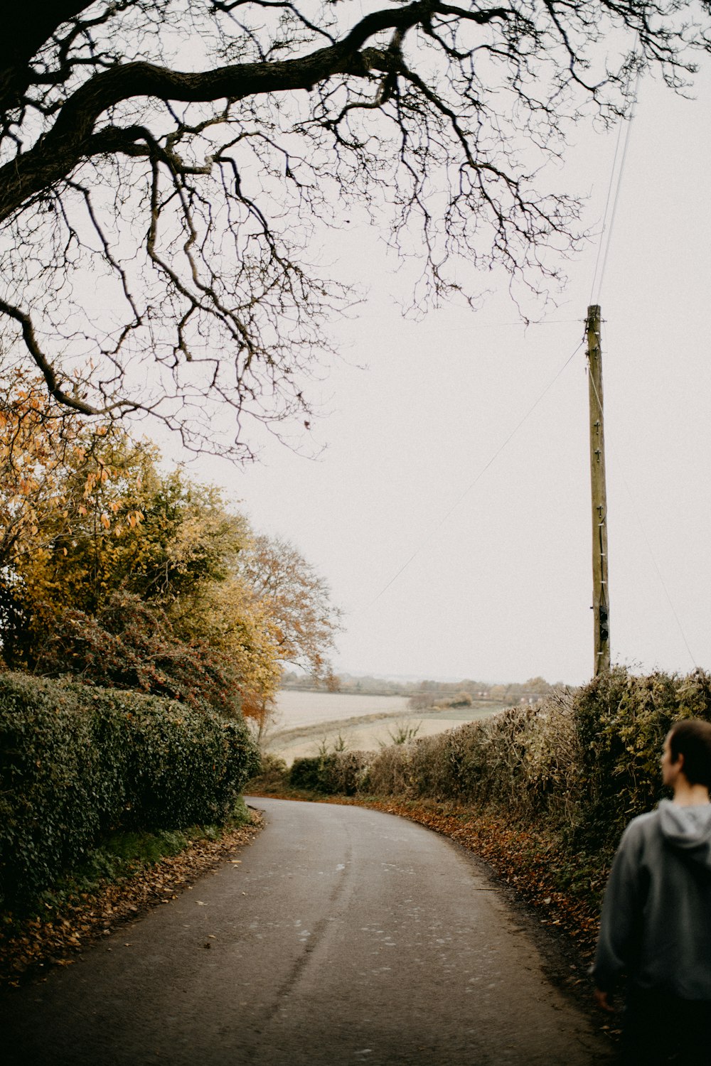 a person walking down a road next to a tree