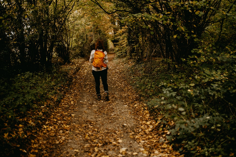 a person walking down a path in the woods