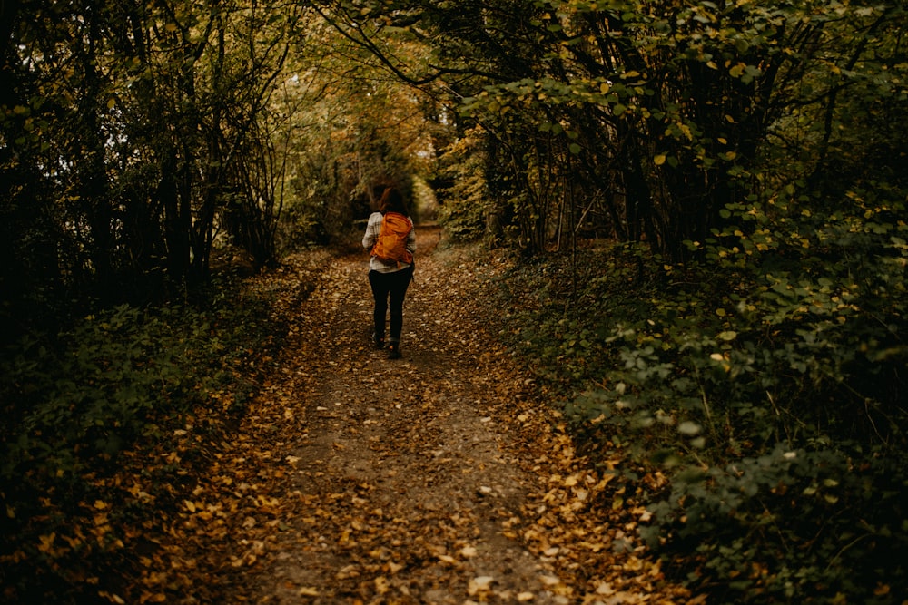 Eine Frau geht einen Pfad im Wald entlang