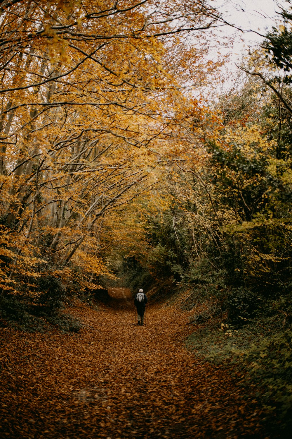 a person walking down a leaf covered path