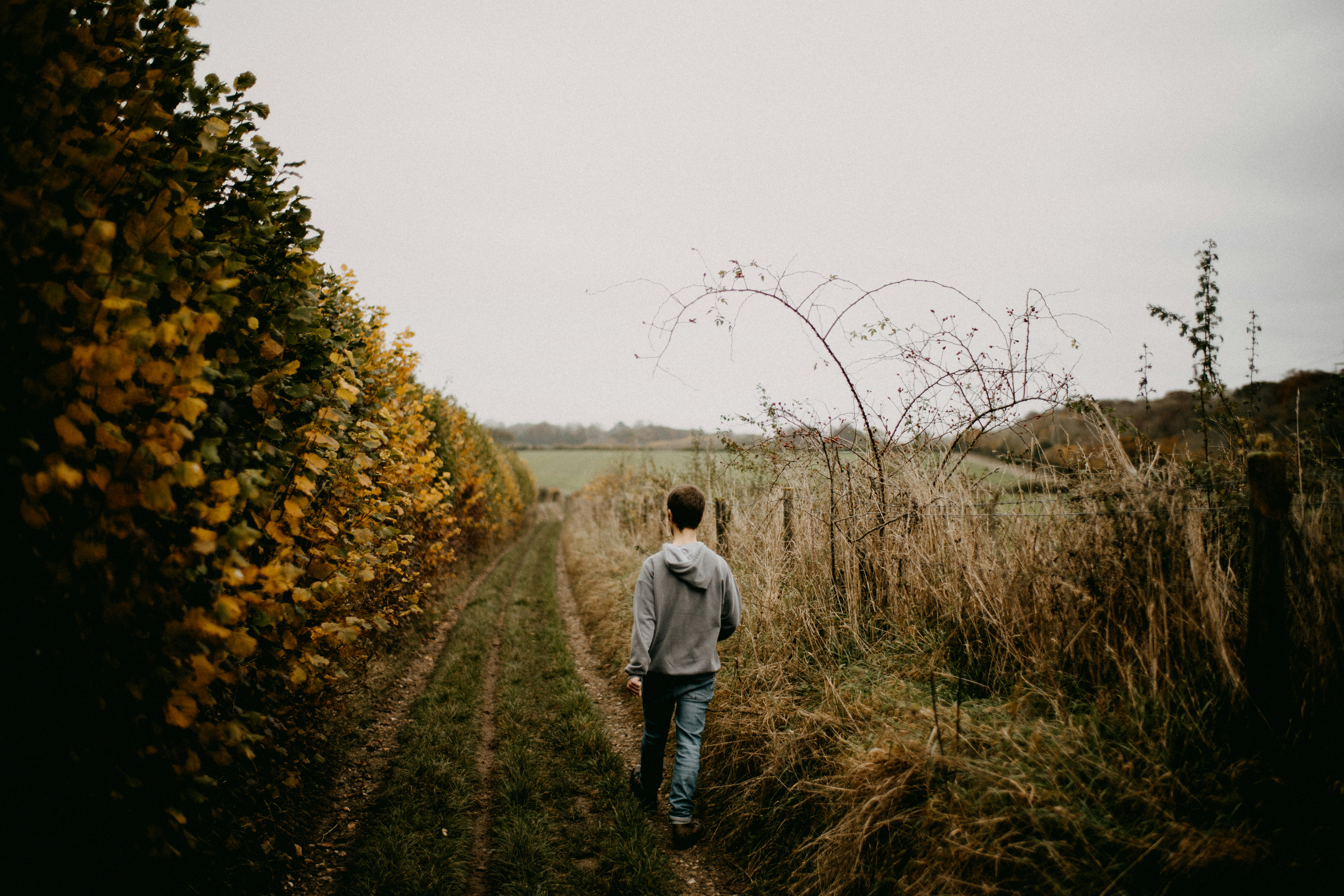 Photo by anniespratt