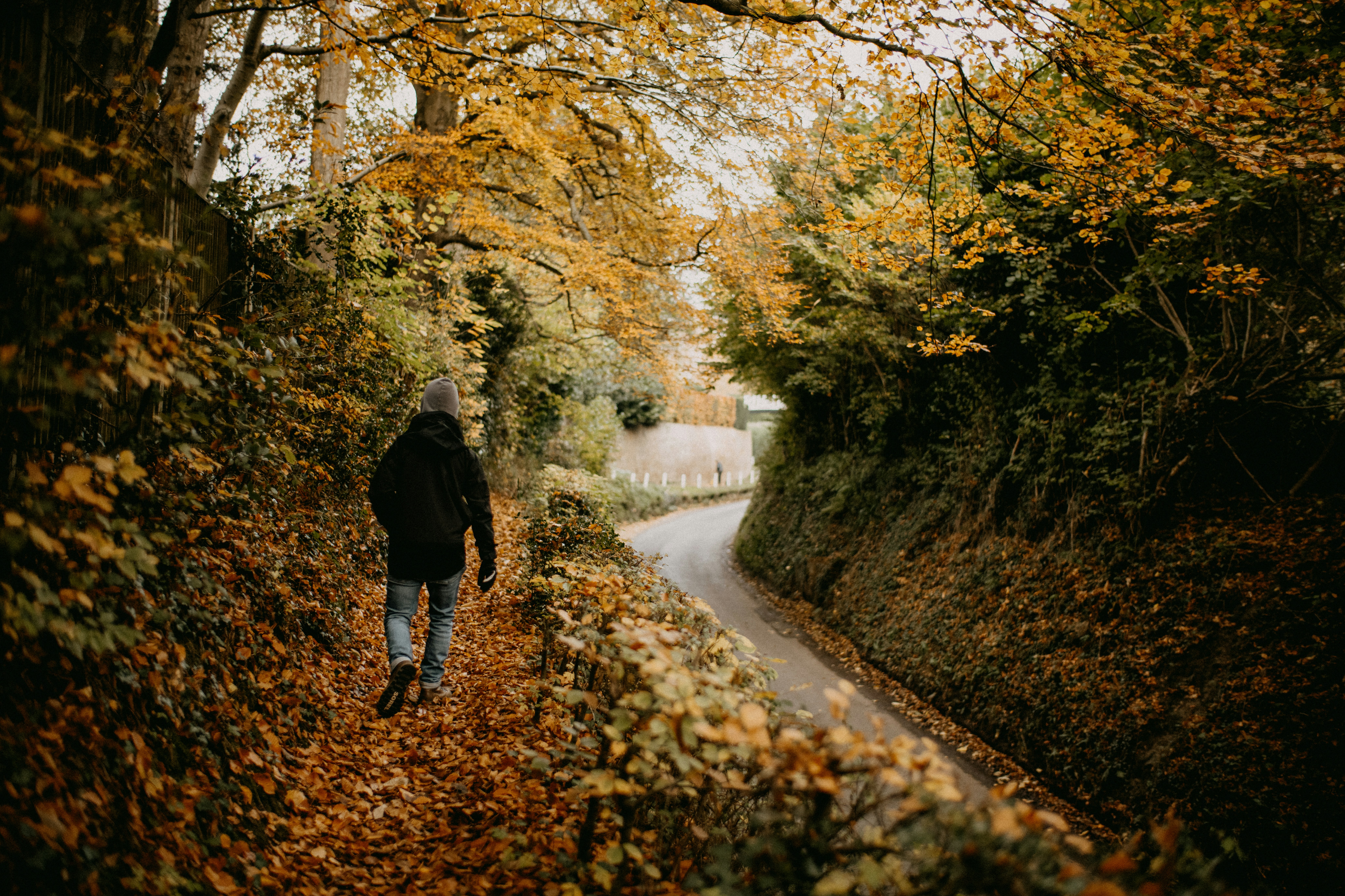 Photo by anniespratt