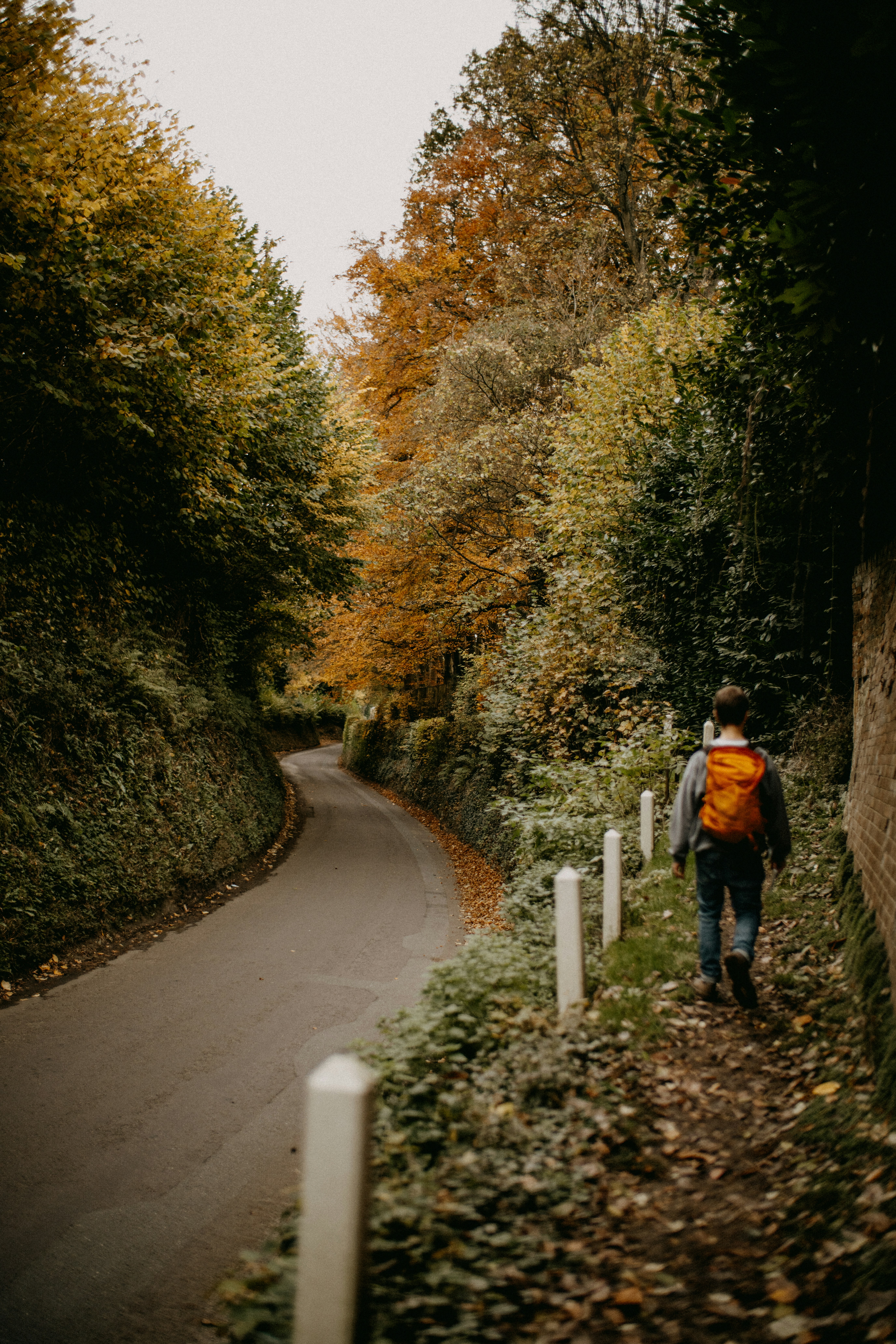 Photo by anniespratt