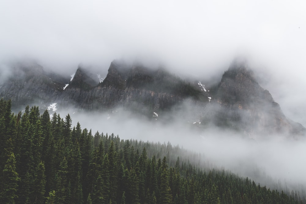 a mountain covered in fog and low lying clouds