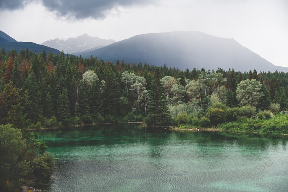 a body of water surrounded by trees and mountains