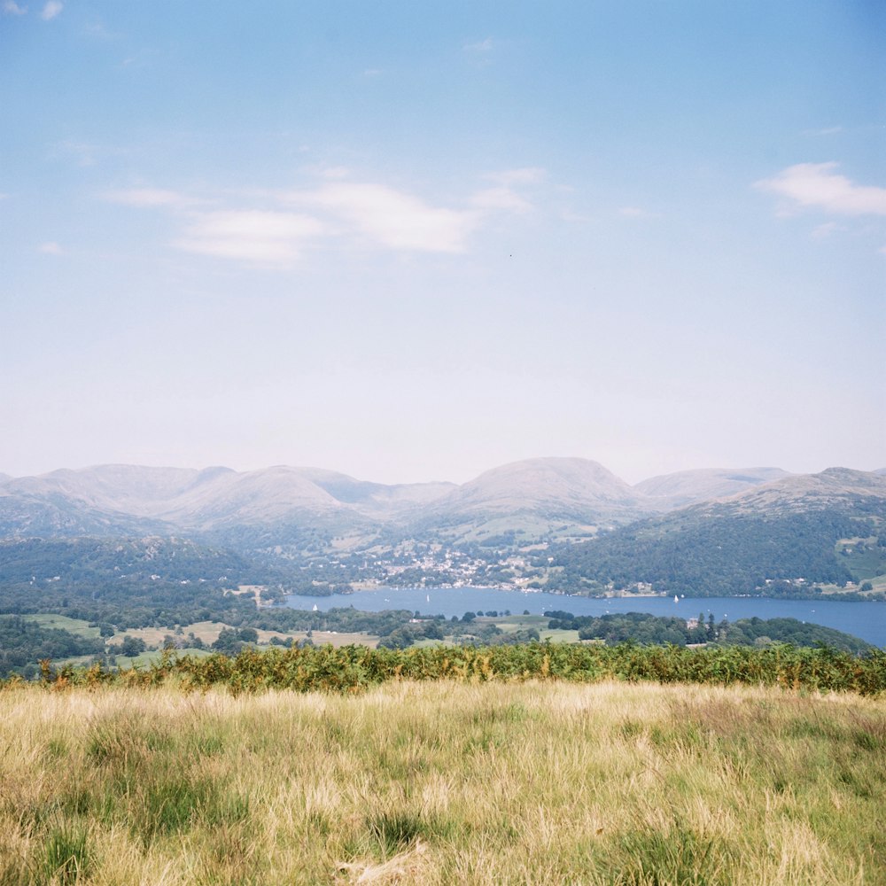 a grassy field with mountains in the background