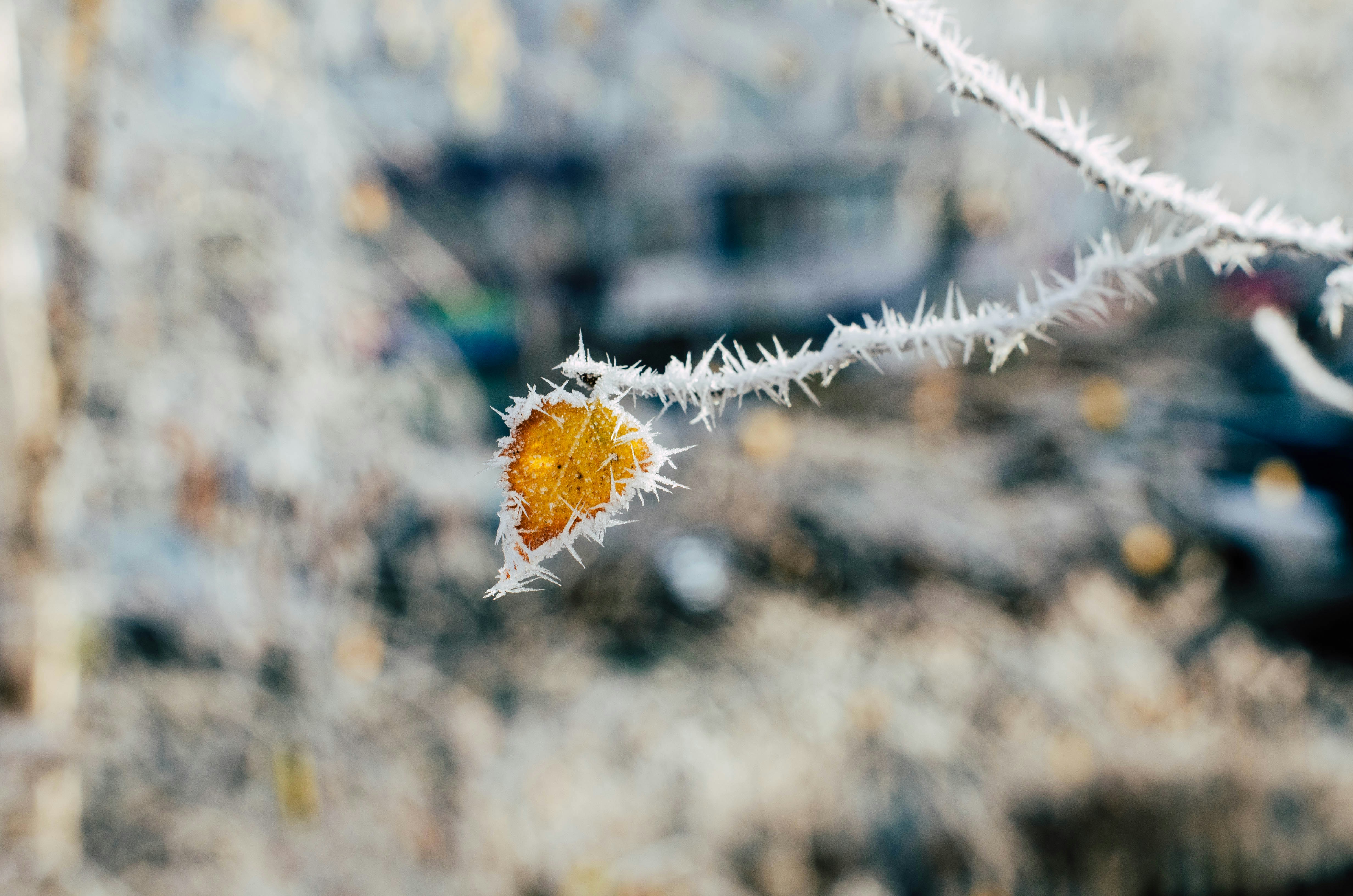 Photo by nika_benedictova