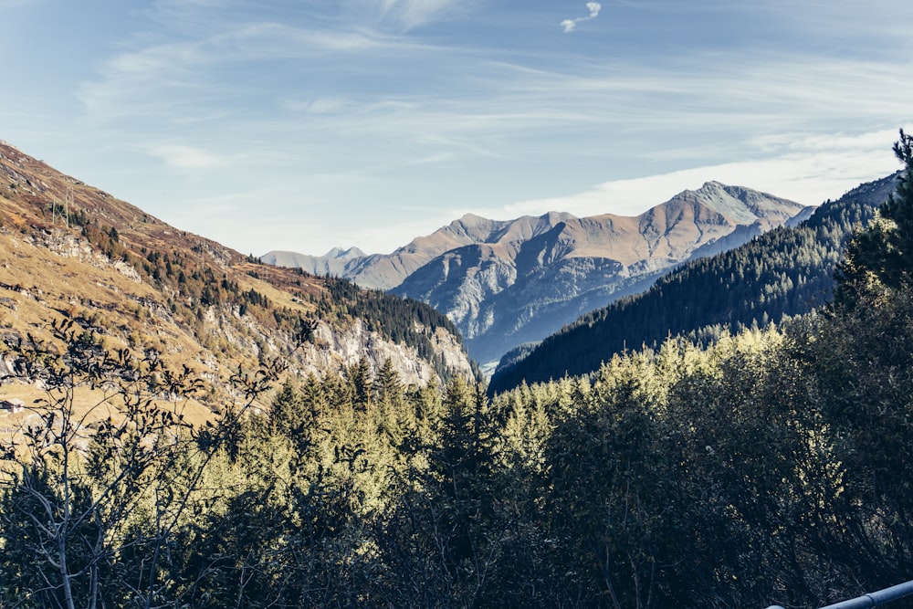 a scenic view of a mountain range with trees in the foreground