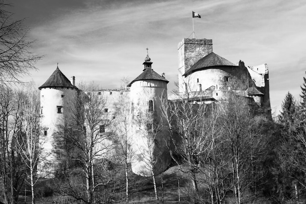 a black and white photo of a castle