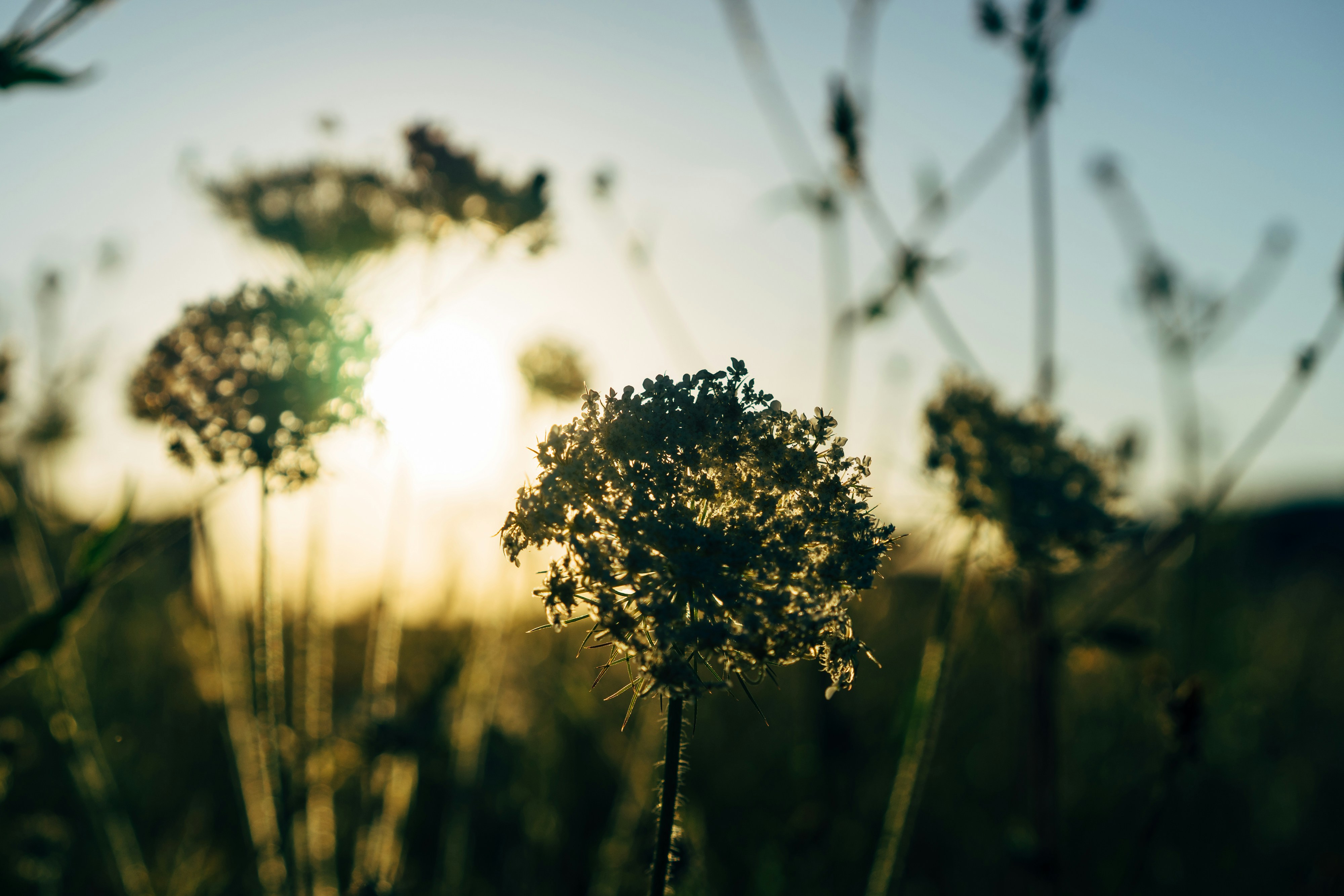 Photo by markuswinkler