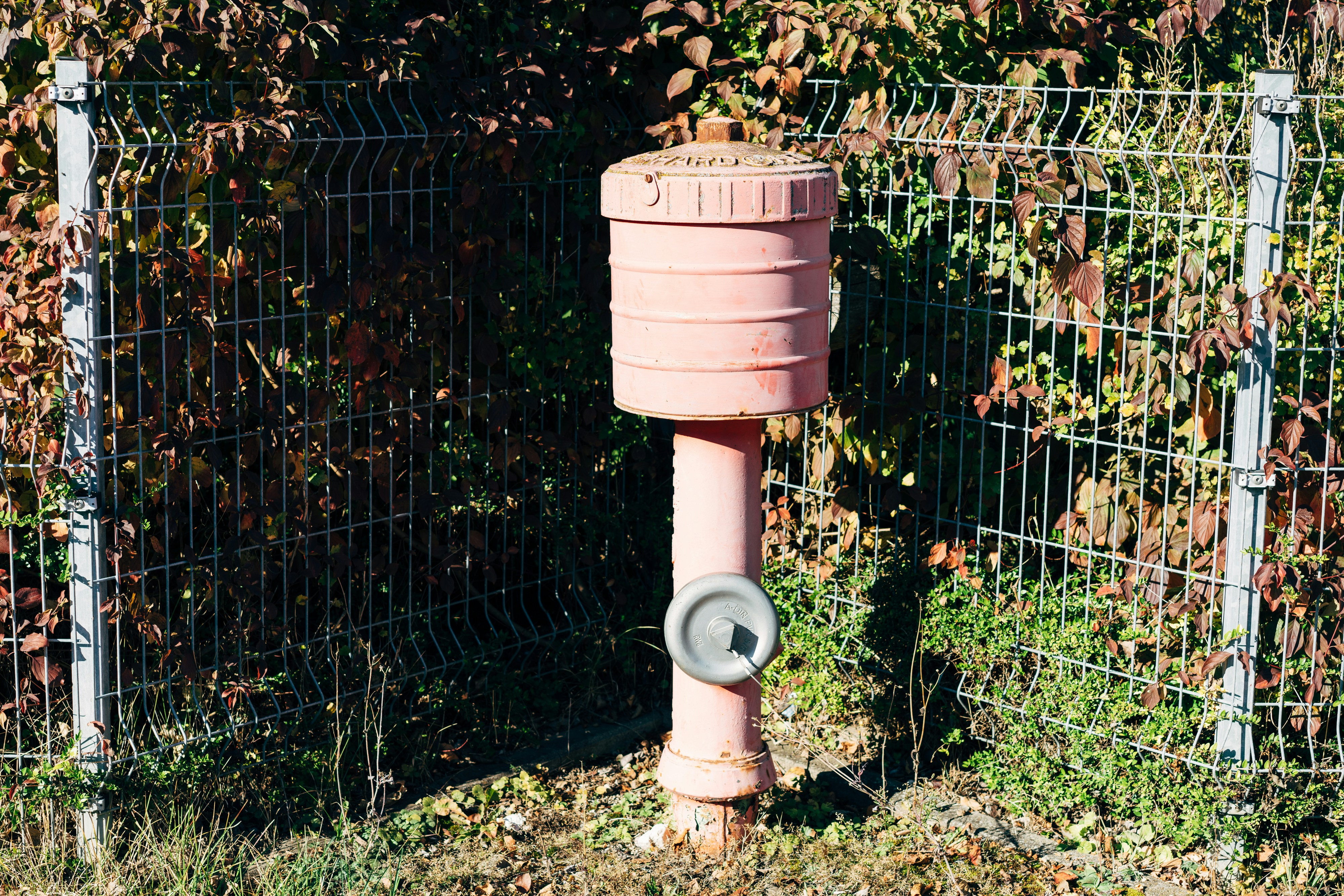 a pink fire hydrant in front of a fence