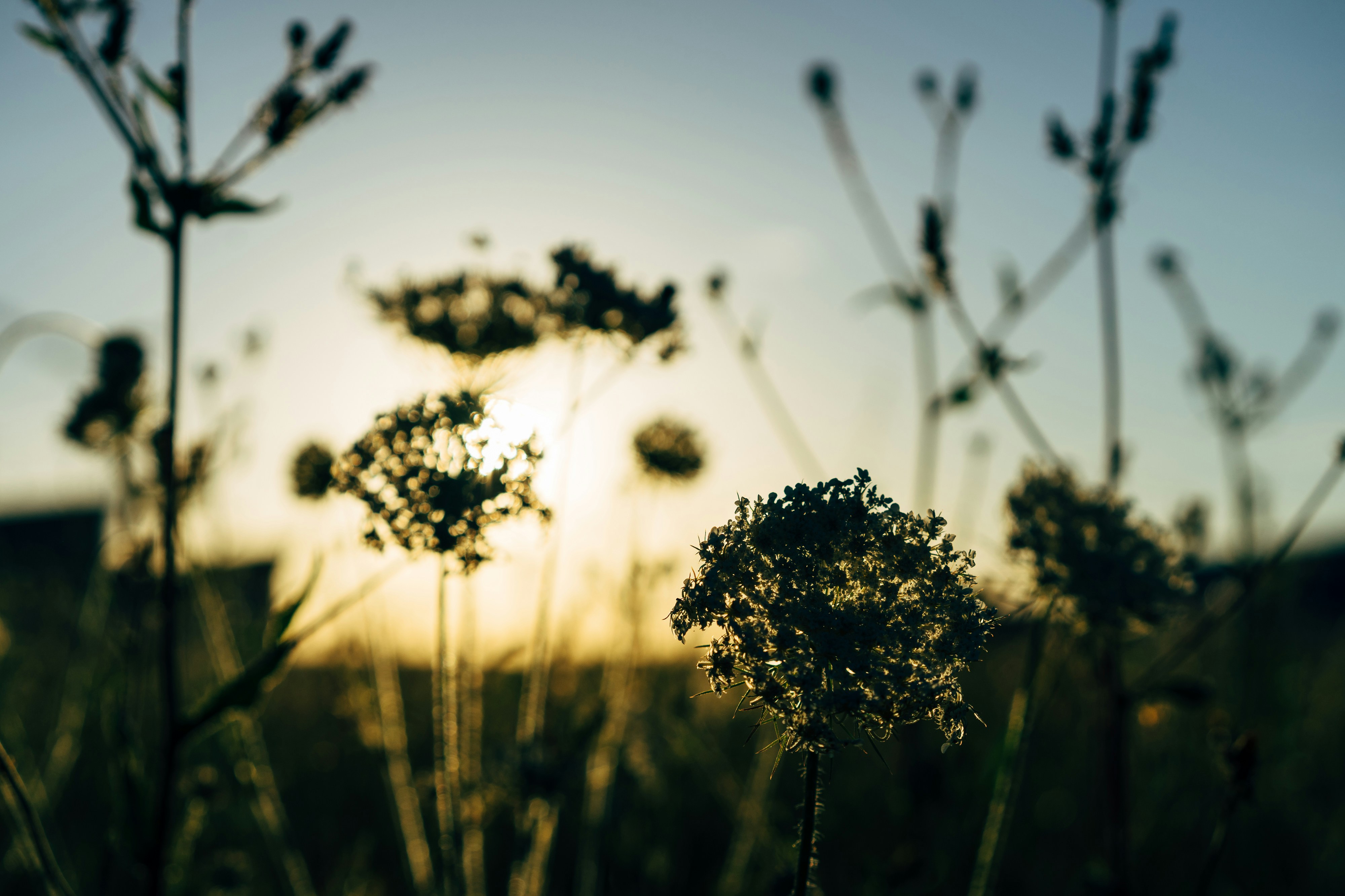 Photo by markuswinkler