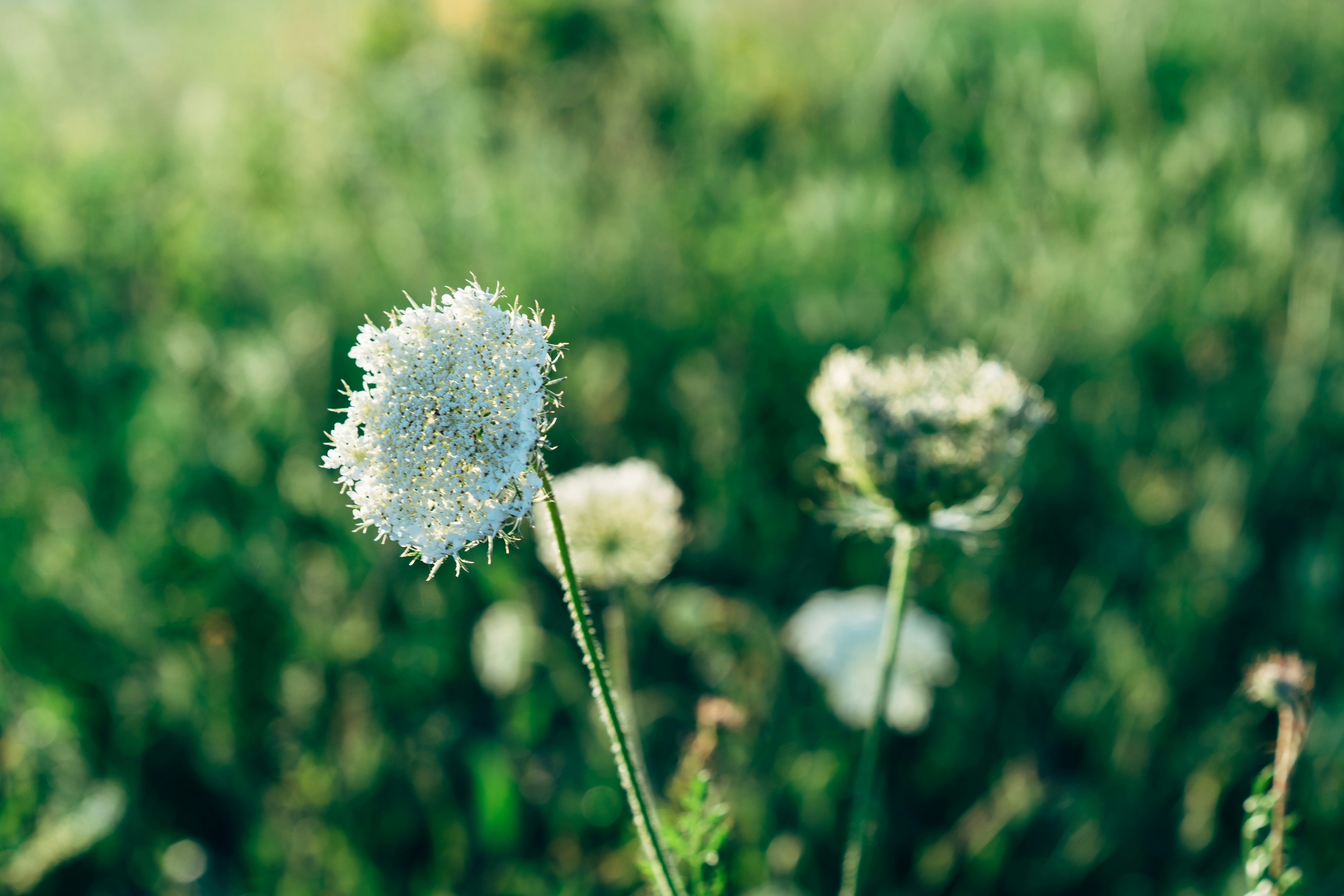 Photo by markuswinkler