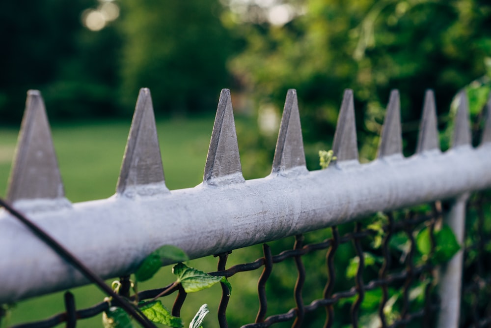 a close up of a metal fence with vines growing on it