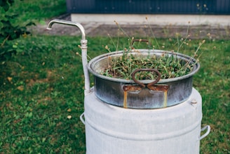 An old metal container stands on a cylindrical base with a spout protruding from the side. Inside the container, tall grass and weeds are growing. The background shows a patchy green lawn and a building with a corrugated metal or plastic wall.
