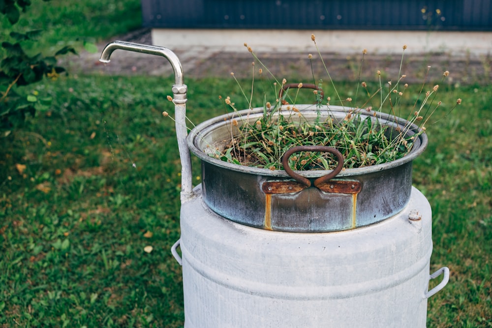 a metal bucket with plants growing out of it