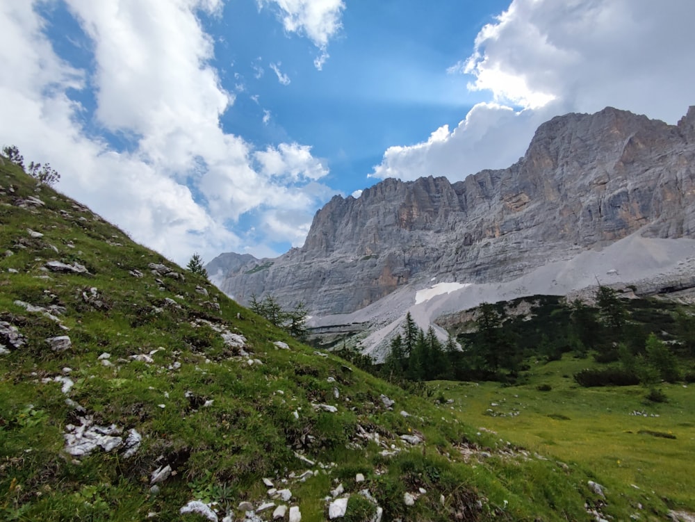 a grassy hillside with a mountain in the background