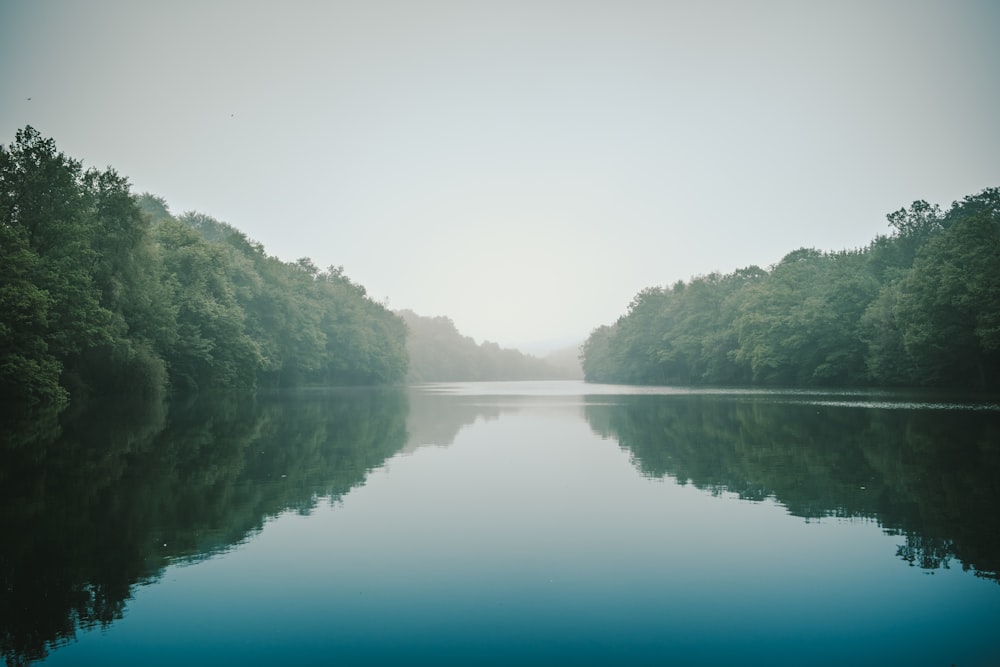 a body of water surrounded by trees and fog