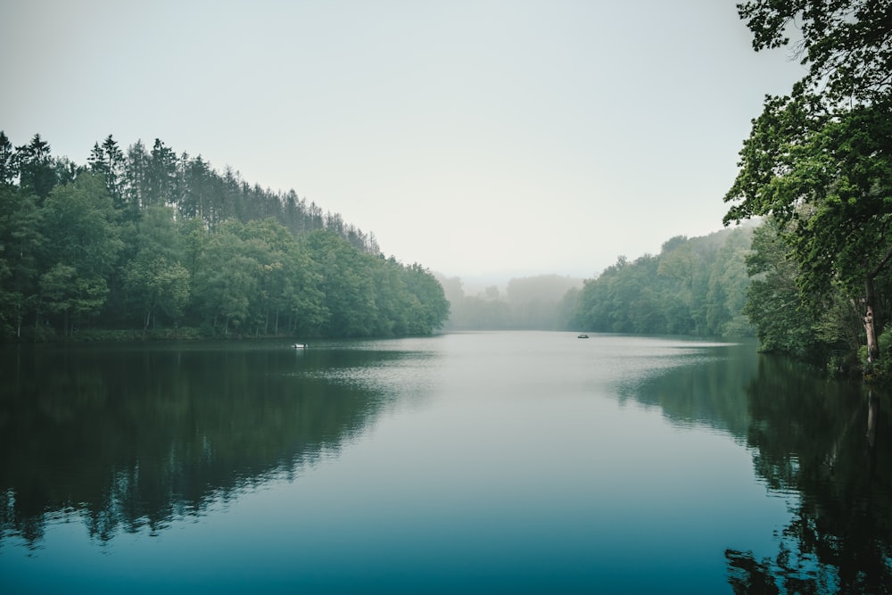 a body of water surrounded by trees on a foggy day