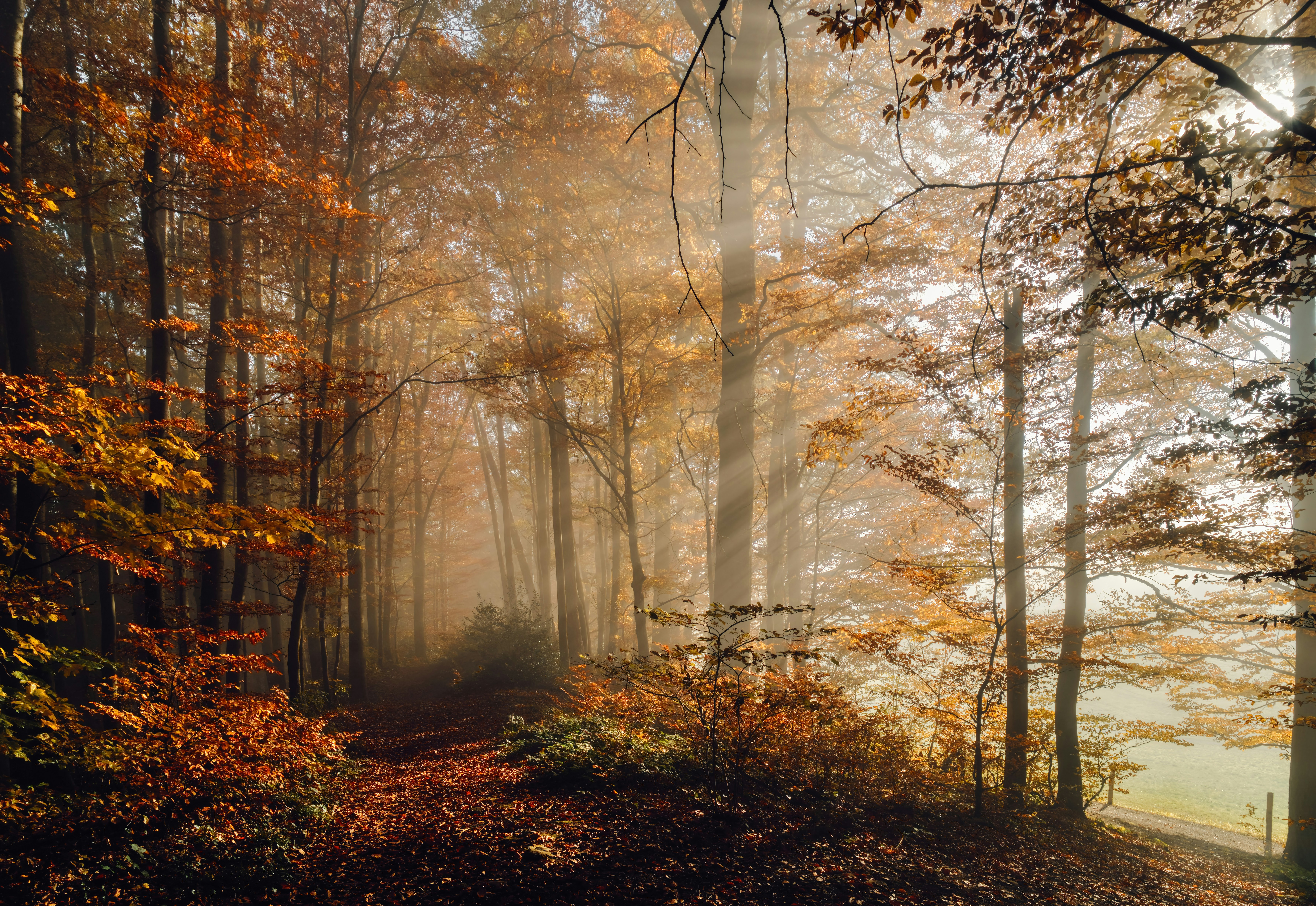 Photo by rgaleriacom