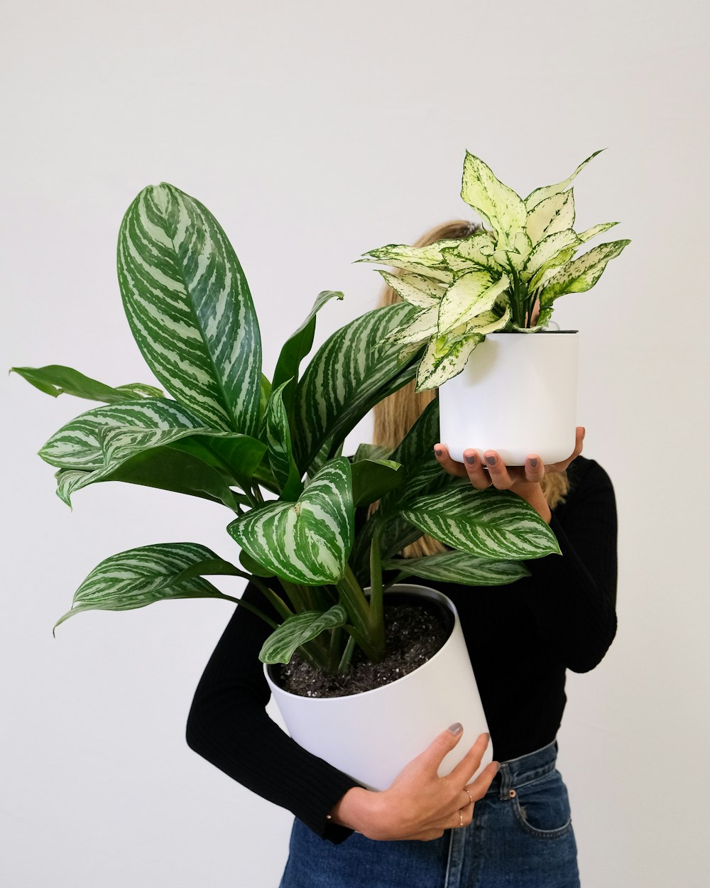 a woman holding a potted plant in her hands