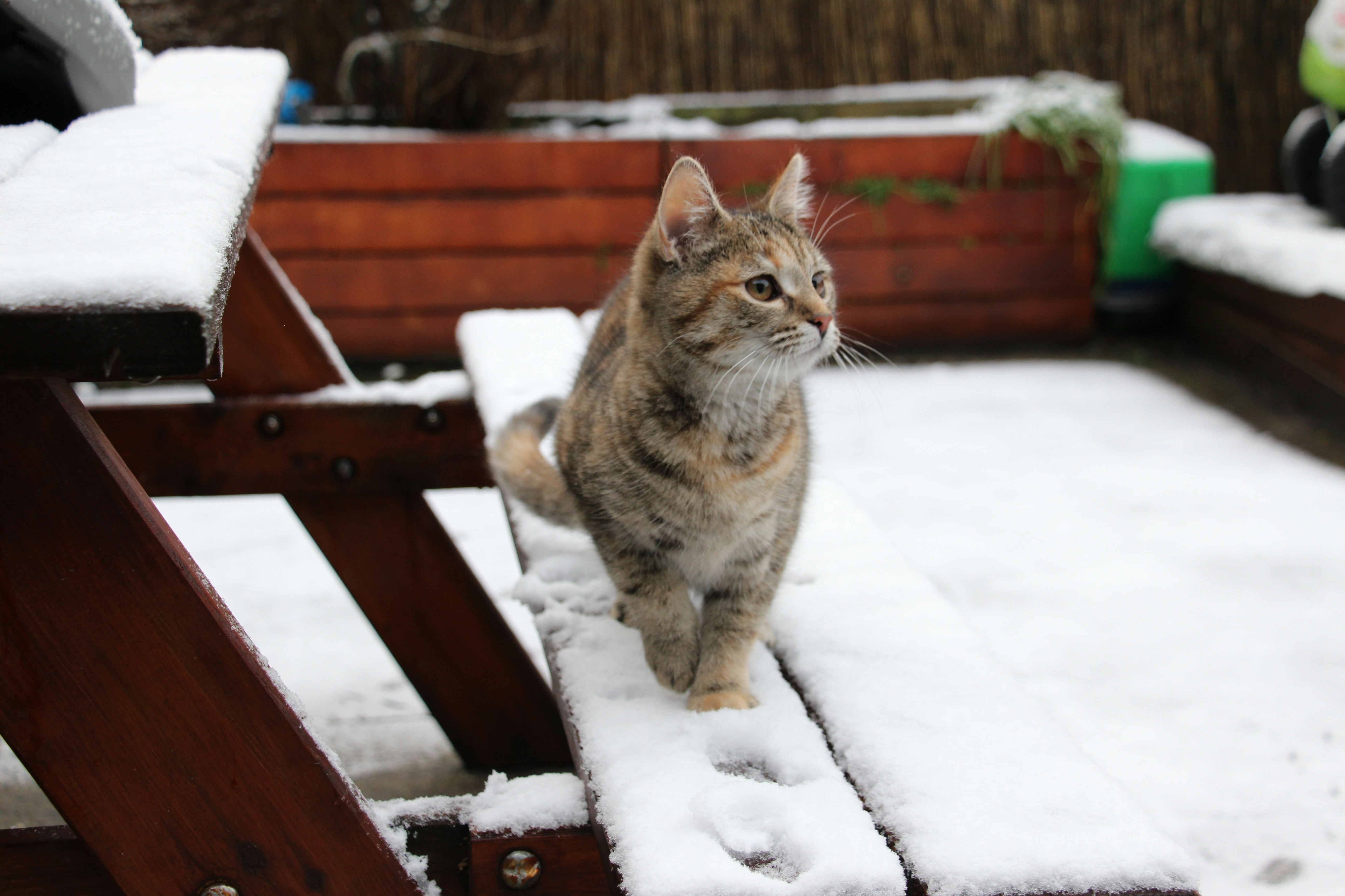 Weathering the Elements (image credits: unsplash)