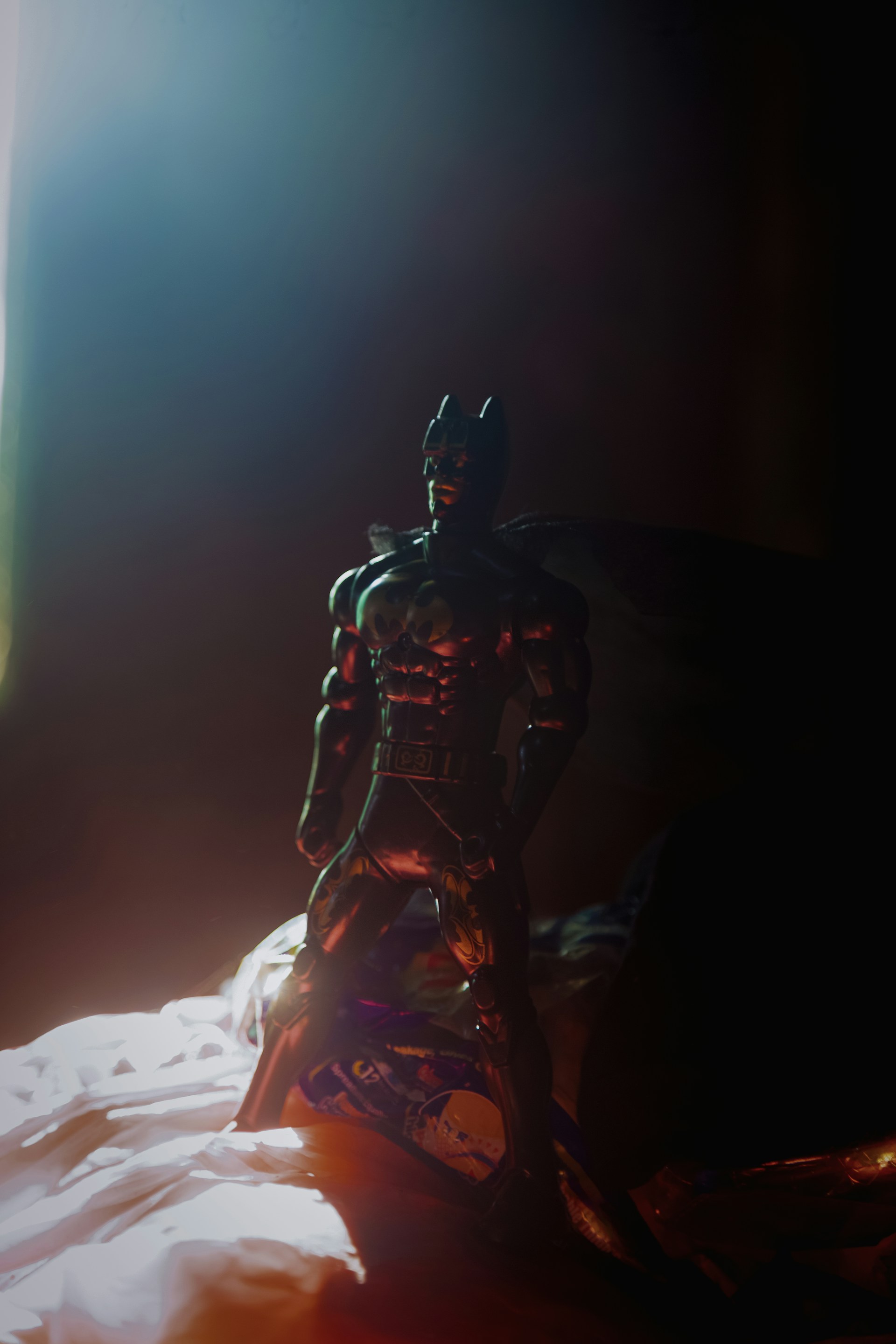 Close-up shot of He-Man action figure posed heroically against a dramatic sunset backdrop.