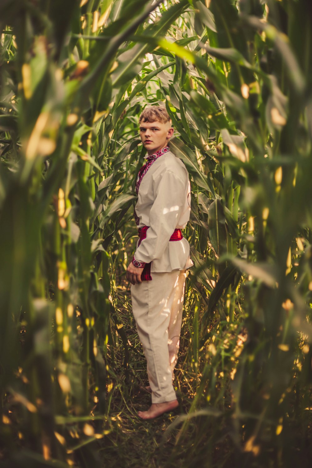 a man in a suit standing in a corn field