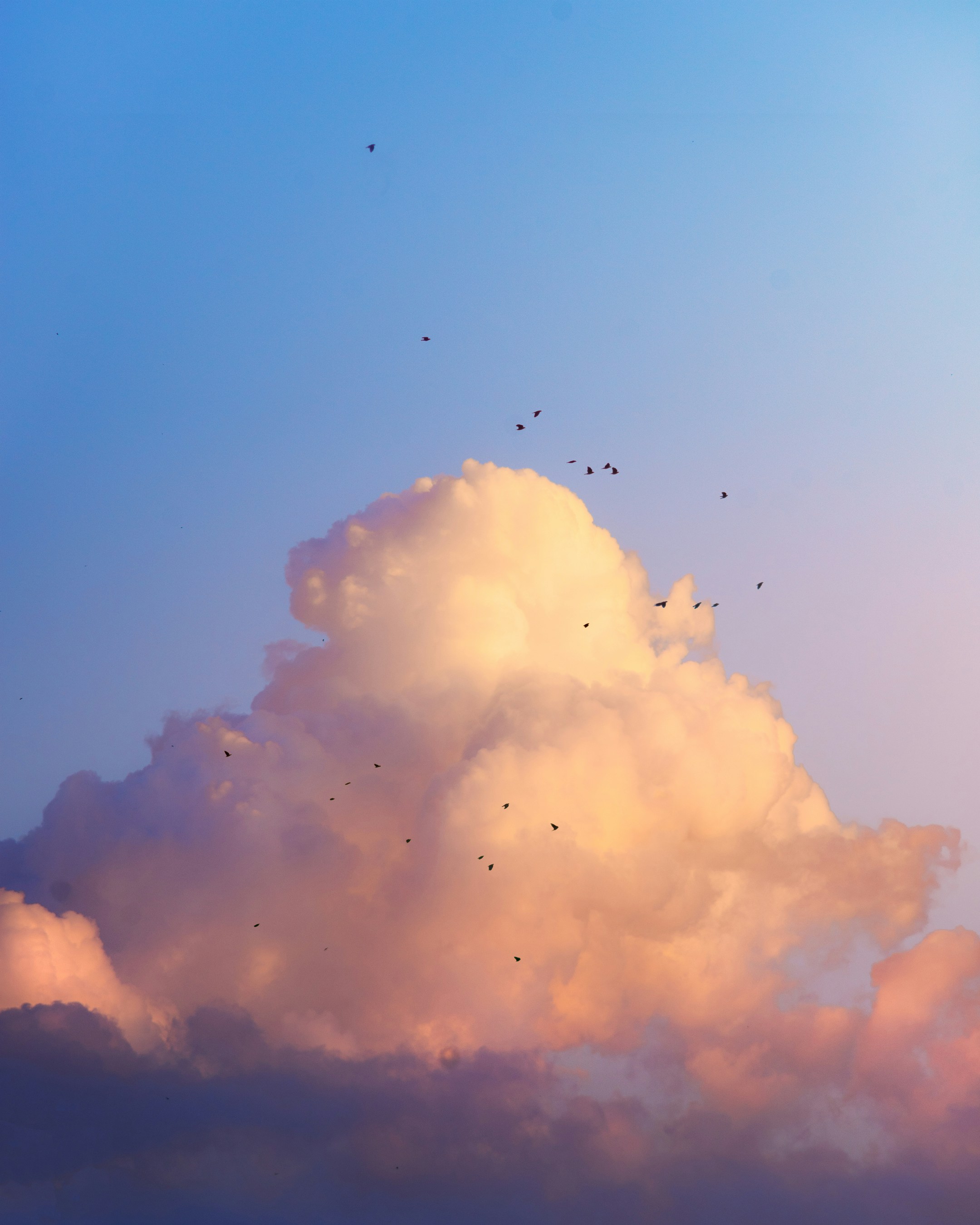 Photo by enisvisuals