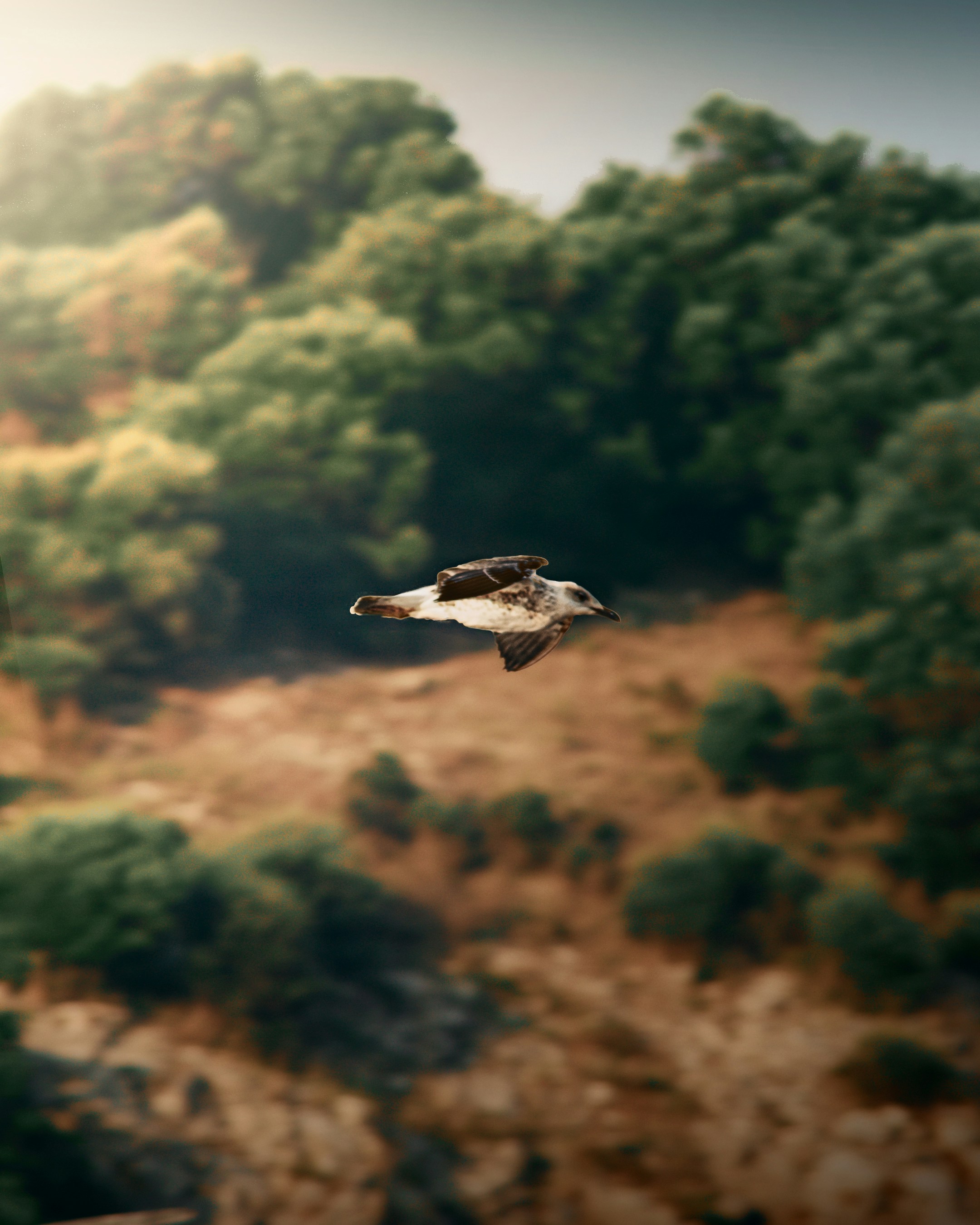 longest flying drones for sale