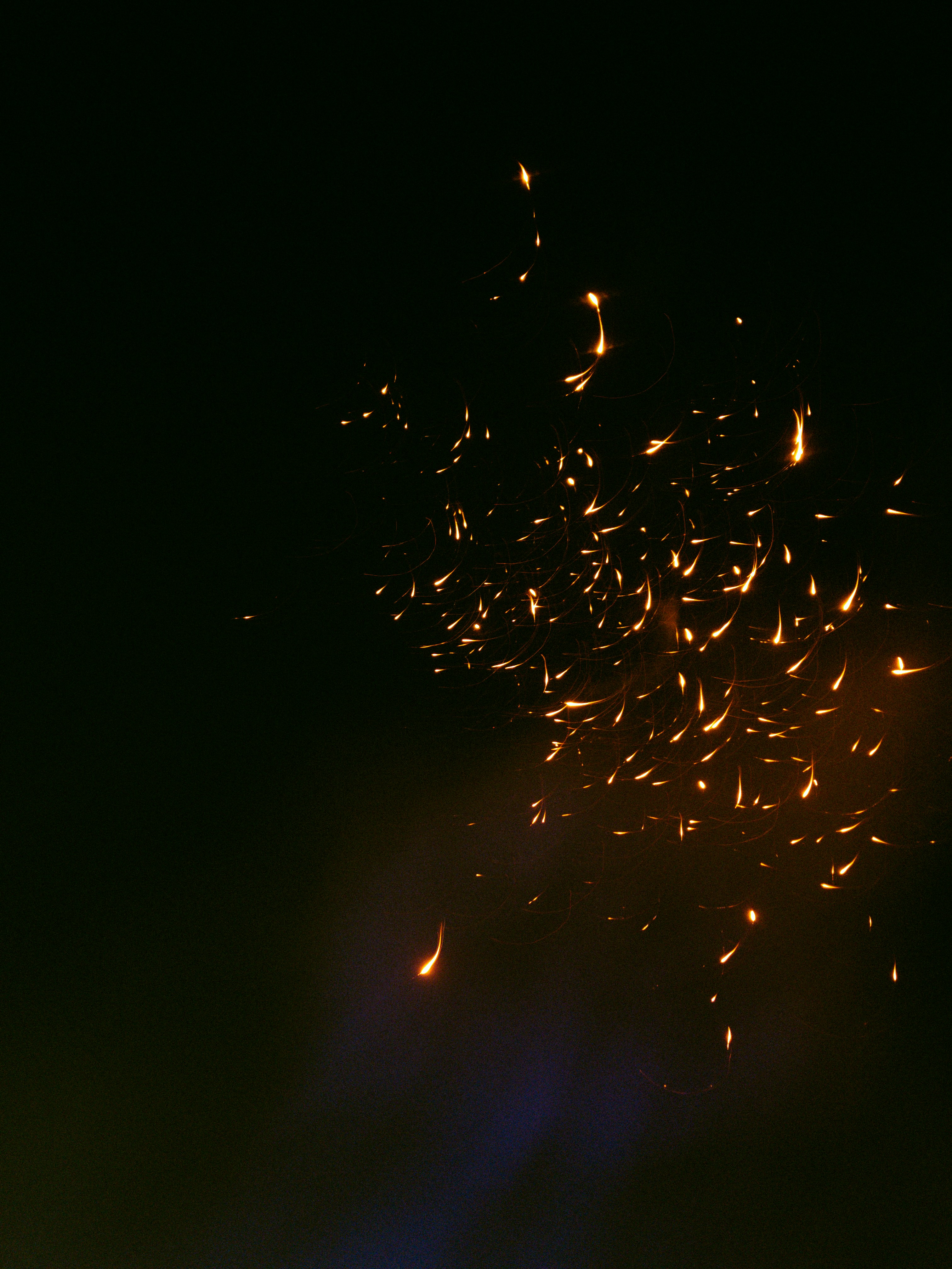 Photo by amritanshdubey