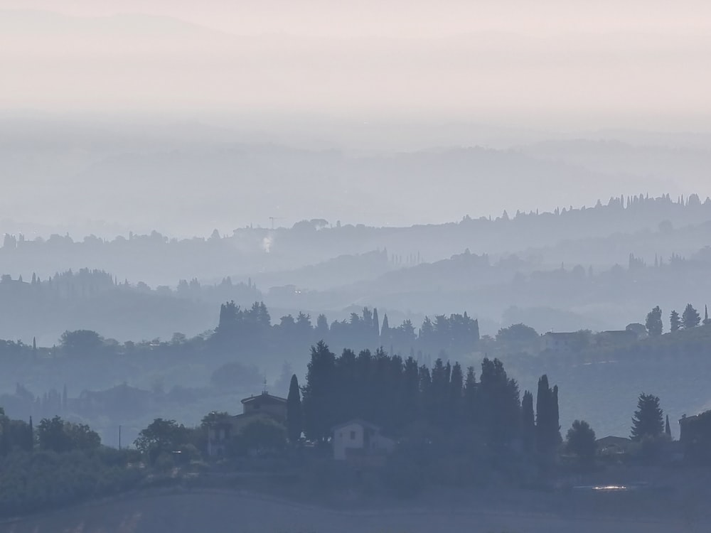 a view of a hilly area with trees in the foreground