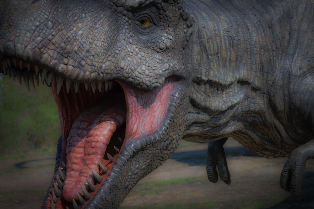 a close up of a dinosaur with its mouth open