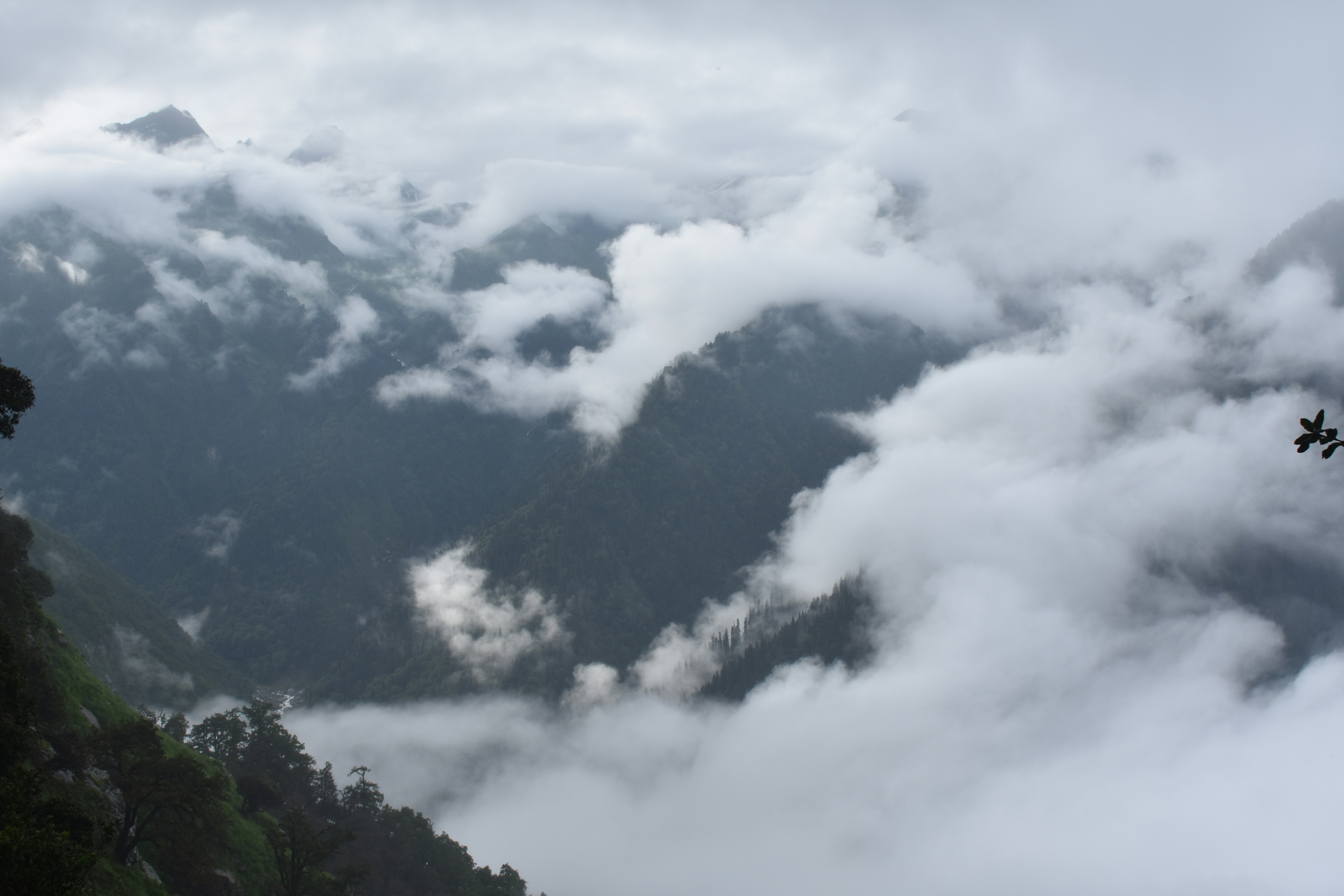 Photo by jainil25032006_